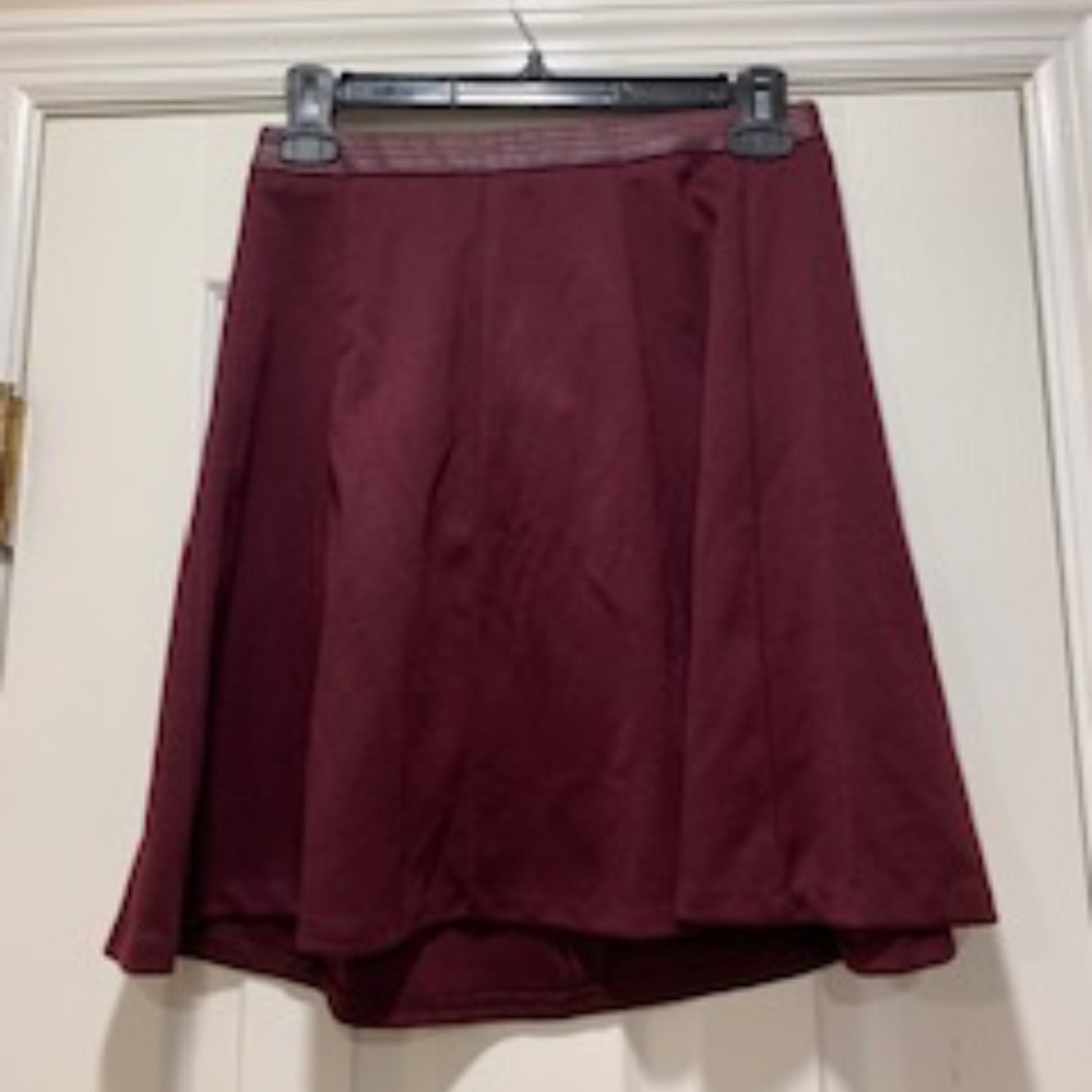 NEW! A-Line Skirt from The Limited